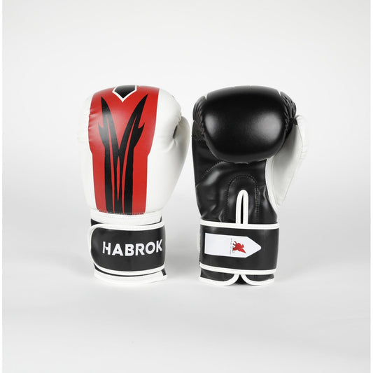 X 2.0 | Boxing Gloves Boxing Gloves