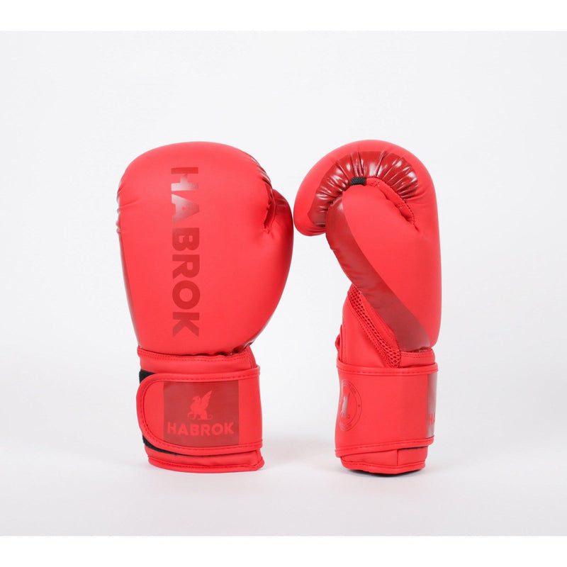 GEN 1.0 | Boxing Gloves |