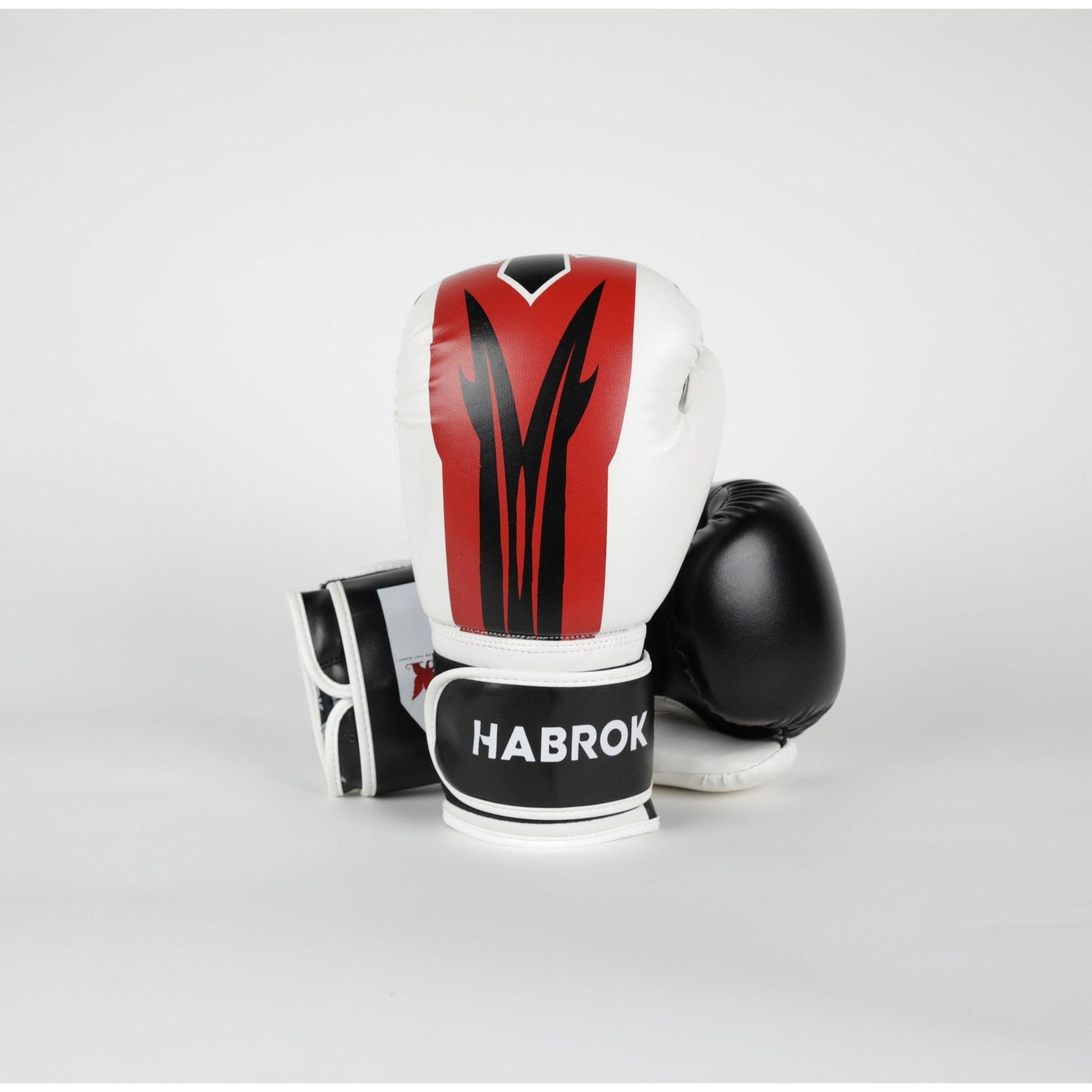 X 2.0 | Boxing Gloves WHITE BLACK Boxing Gloves